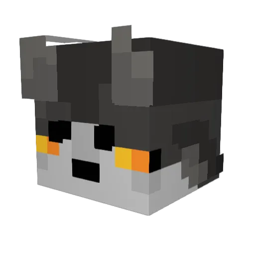 TBNRWonder25 Minecraft avatar head, 3D render
