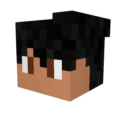 TBNR_BESTIE Minecraft avatar head, 3D render