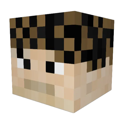 TBNR_playerz Minecraft avatar head, 3D render