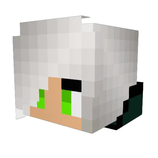TBNRcameron123 Minecraft avatar head, 3D render