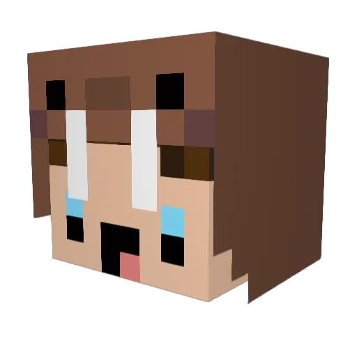 TBNRcosmic_ Minecraft avatar head, 3D render