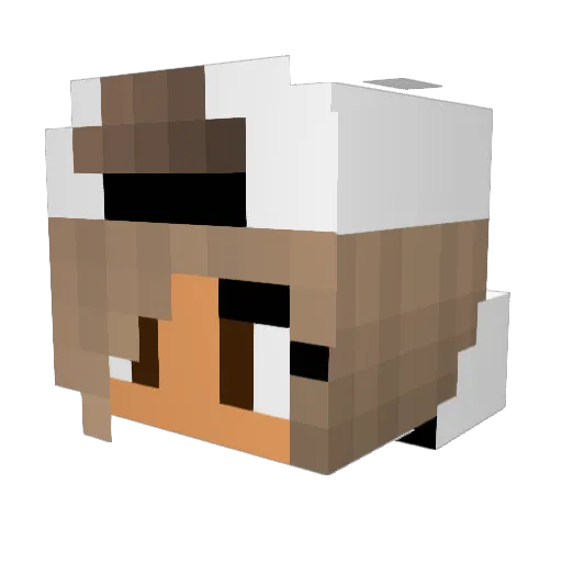 TBNRemily Minecraft avatar head, 3D render
