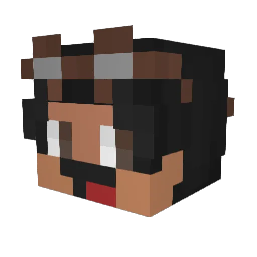 TBNRsebs Minecraft avatar head, 3D render