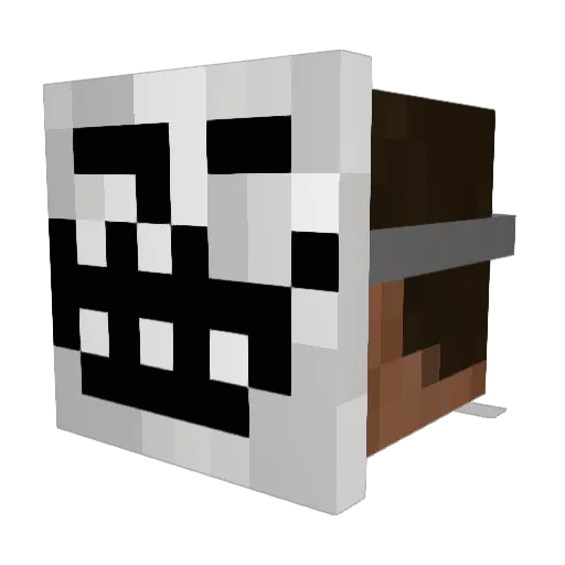 TBOTH Minecraft avatar head, 3D render