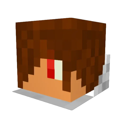 TBobby Minecraft avatar head, 3D render