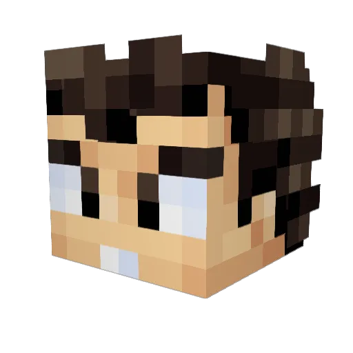 TBrooks102 Minecraft avatar head, 3D render