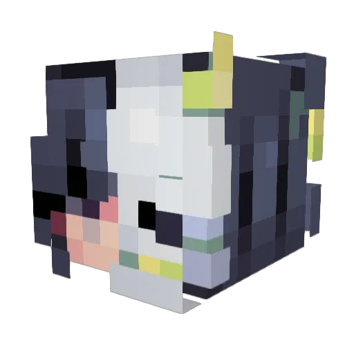 TCCMC16 Minecraft avatar head, 3D render