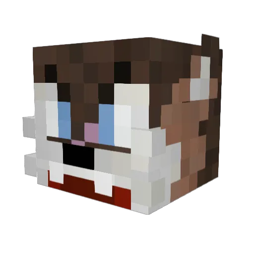 TCMBishop Minecraft avatar head, 3D render