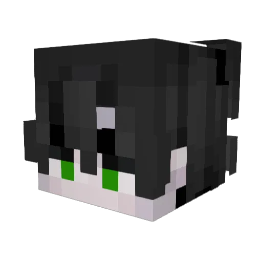 TCM_Snitches Minecraft avatar head, 3D render