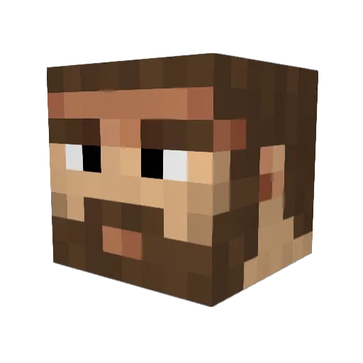 TCP_ACK Minecraft avatar head, 3D render