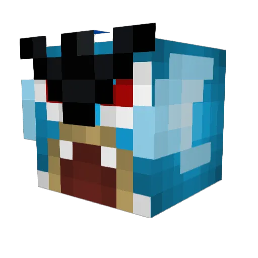 TCUFROGS Minecraft avatar head, 3D render