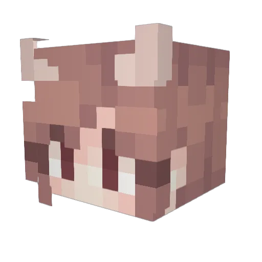 TCUPER16 Minecraft avatar head, 3D render