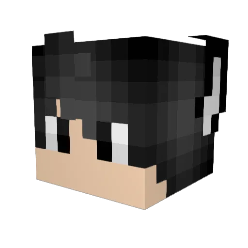 TCWIZARD9 Minecraft avatar head, 3D render