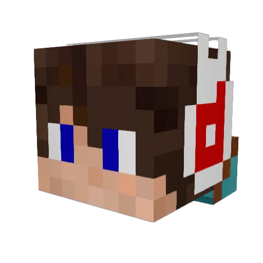 TC_tyfr68 Minecraft avatar head, 3D render