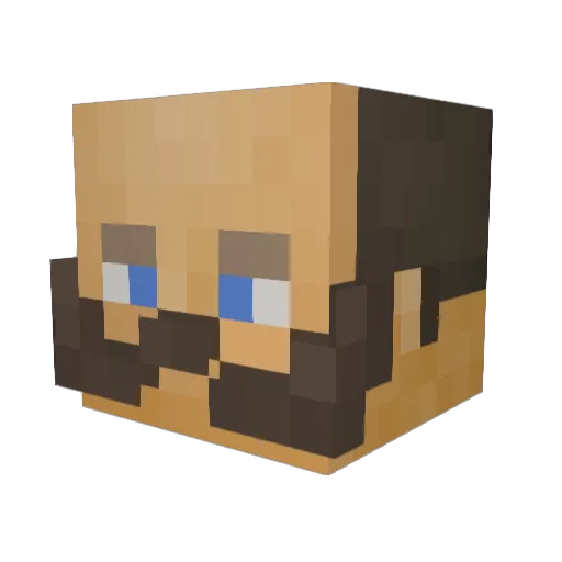 TD987654321 Minecraft avatar head, 3D render