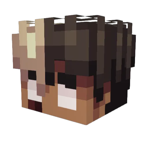 TDB Minecraft avatar head, 3D render