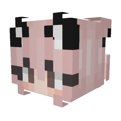 TDGSeal Minecraft avatar head, 3D render