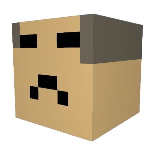 TDLTU Minecraft avatar head, 3D render