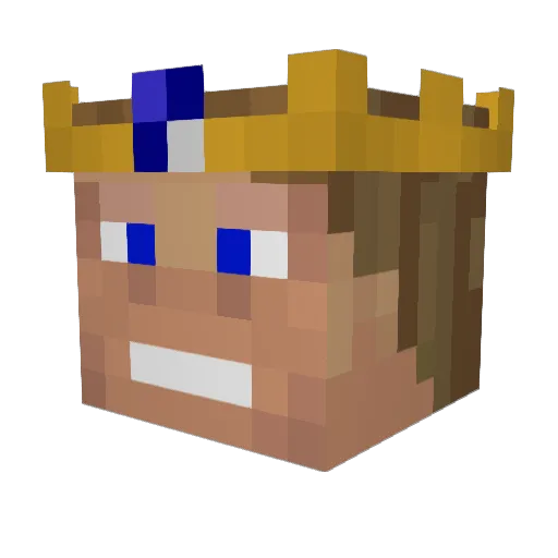 TDNG Minecraft avatar head, 3D render