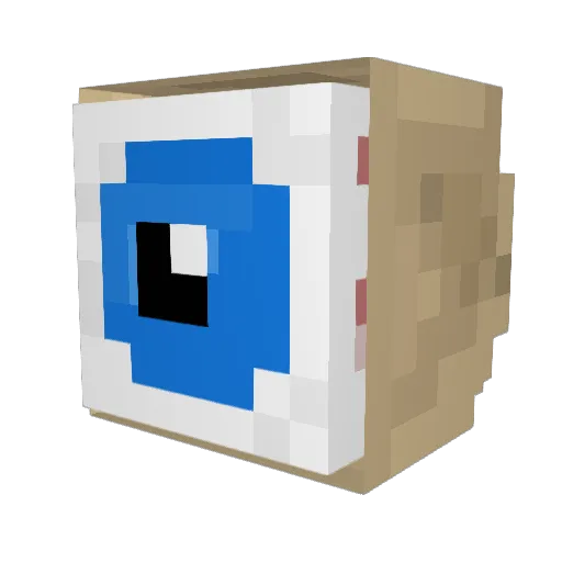 TDRNova Minecraft avatar head, 3D render