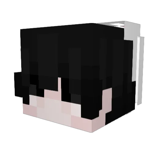 TDZAsmile Minecraft avatar head, 3D render