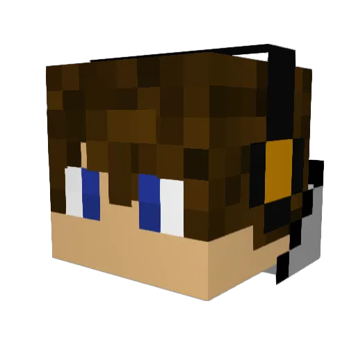 TDubsi Minecraft avatar head, 3D render