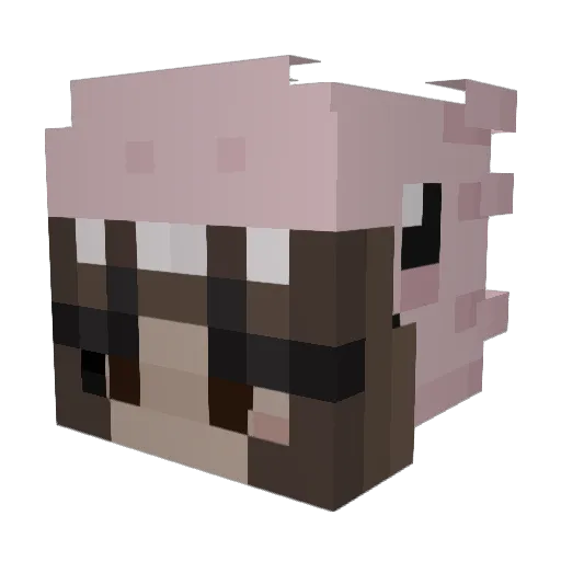 TE55_ Minecraft avatar head, 3D render