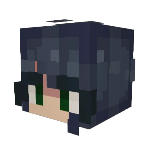 TECH9HITYOURSPIN Minecraft avatar head, 3D render