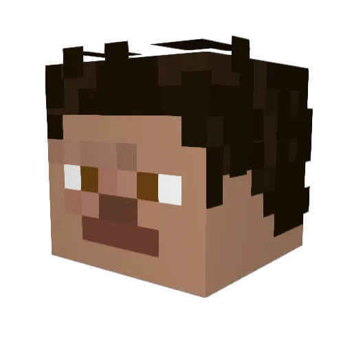 TECHO_PC Minecraft avatar head, 3D render