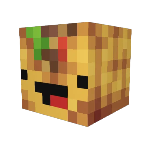 TEDpinguino Minecraft avatar head, 3D render