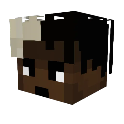 TEENX Minecraft avatar head, 3D render
