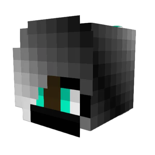TEEVIOLET Minecraft avatar head, 3D render
