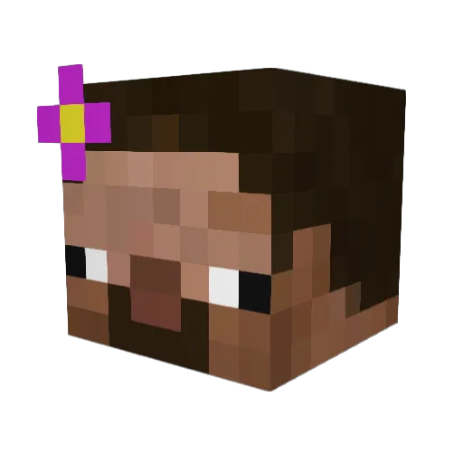 TEHPWNZER Minecraft avatar head, 3D render