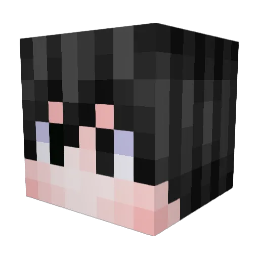 TEI_AI Minecraft avatar head, 3D render