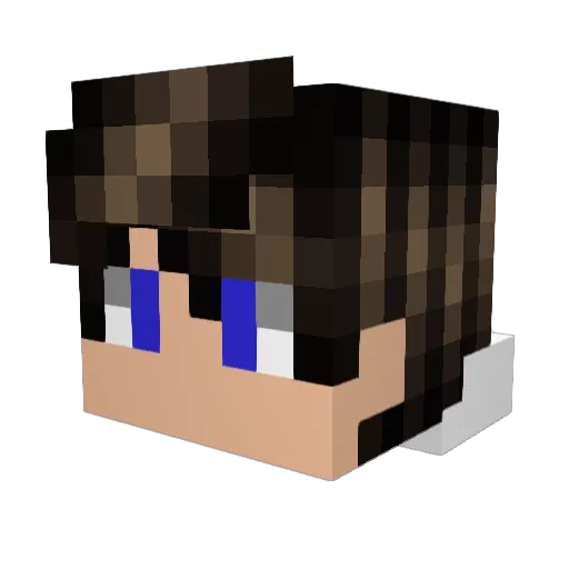 TELEPU22Y Minecraft avatar head, 3D render