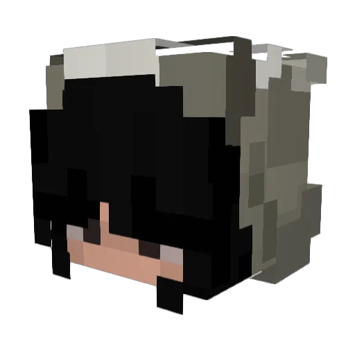 TEM0000 Minecraft avatar head, 3D render