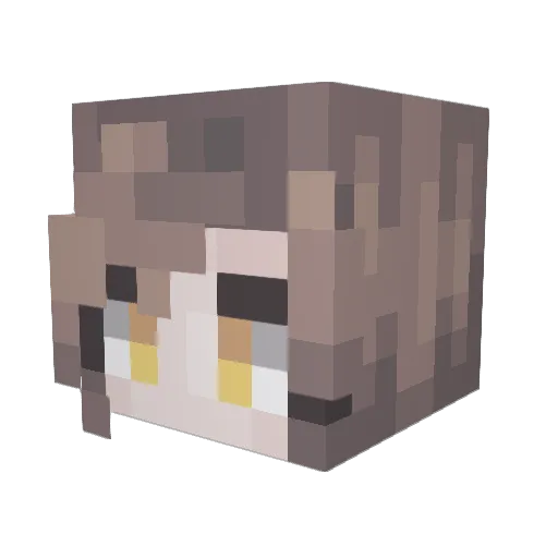 TENET011 Minecraft avatar head, 3D render