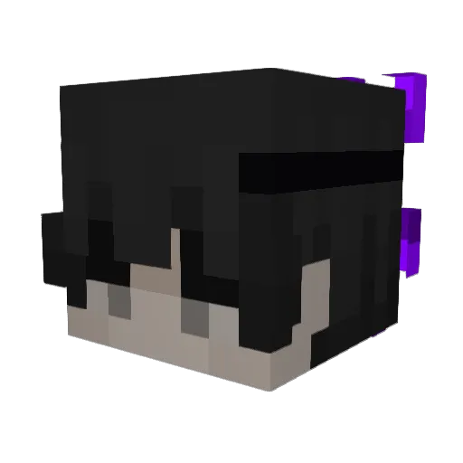 TENN_Studio Minecraft avatar head, 3D render