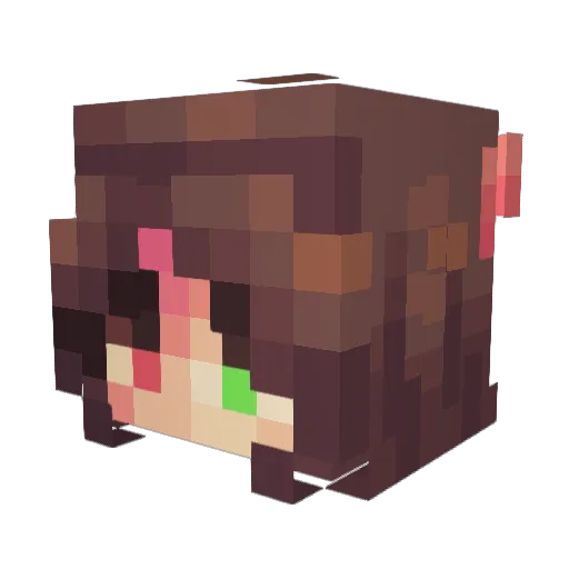TENSIONGAMERZ Minecraft avatar head, 3D render