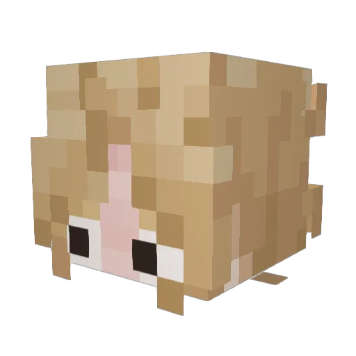 TEPPAKT Minecraft avatar head, 3D render