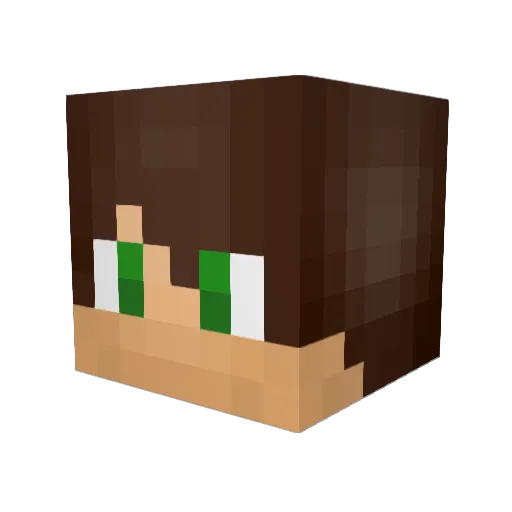 TER777 Minecraft avatar head, 3D render