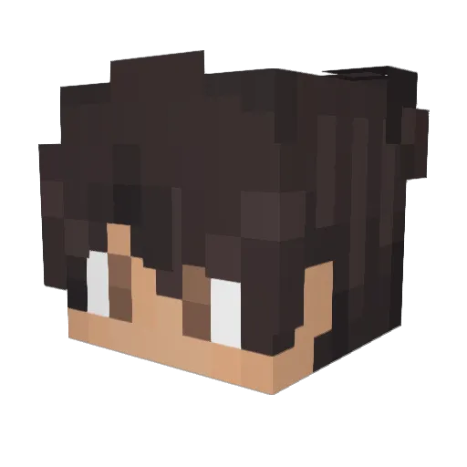 TERMI5 Minecraft avatar head, 3D render