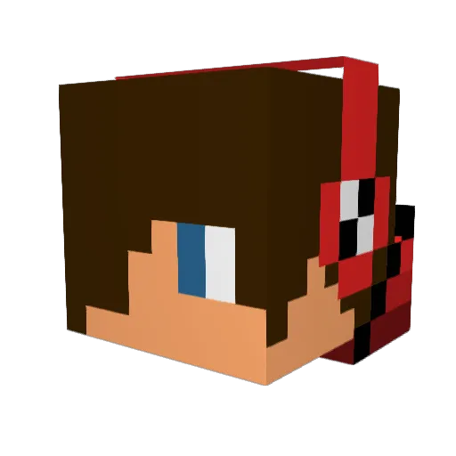 TERMONATOR_12 Minecraft avatar head, 3D render