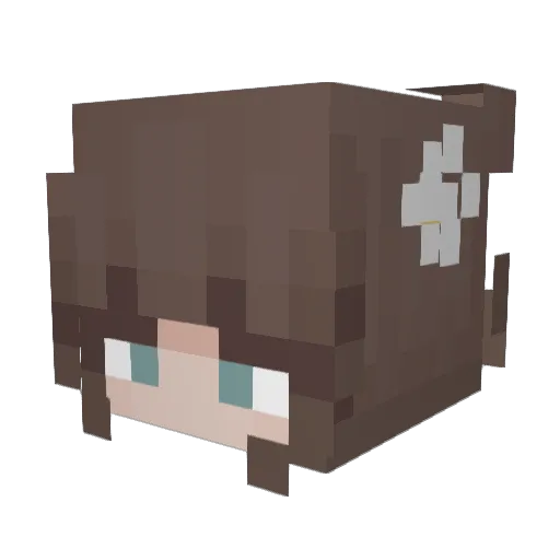 TERRAFIN05 Minecraft avatar head, 3D render