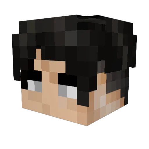 TERROR2462 Minecraft avatar head, 3D render