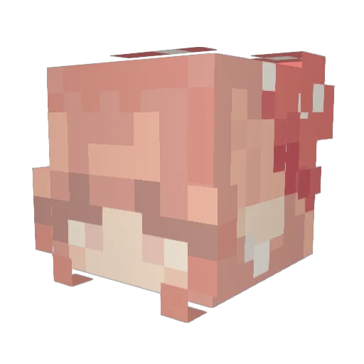 TEThomas Minecraft avatar head, 3D render