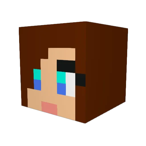 TEVOYAMATAR Minecraft avatar head, 3D render