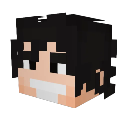 TEX137 Minecraft avatar head, 3D render
