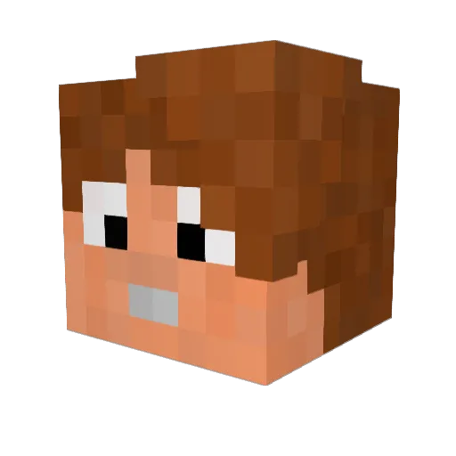 TEXAPlayer Minecraft avatar head, 3D render