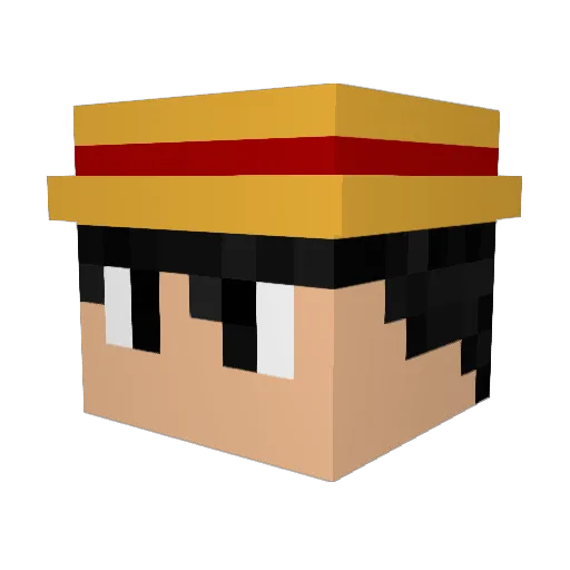 TEXASHAMMER1748 Minecraft avatar head, 3D render